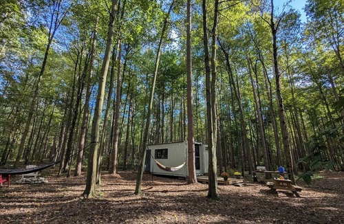 Delhi Cabin | Little Can in the Pines - Bunkie No. 2