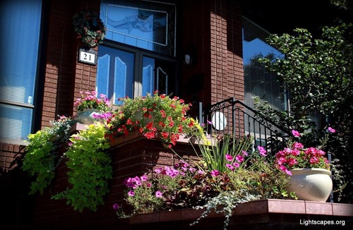 Humber Summit House | Live Like a Princess in Stunning Chalet-Style Home - YYZ
