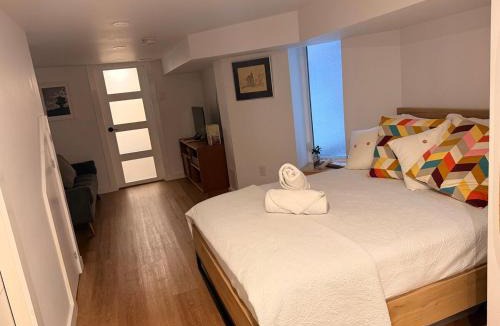 Davenport Apartment | Lower level newly renovated studio apartment in central downtown location
