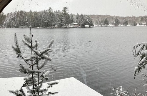 Bracebridge Cottage | Muskoka Private & Peaceful Waterfront Cottage. Lake-View Panoramic Sauna