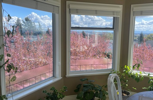 White Rock House | Ocean View & Mount Baker 5 min from the beach! Canada longest pier, restaurant