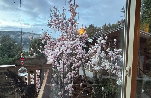 Maple Bay House | Oceanfront 4+ bedroom house in Maple Bay for rent from Sept 15/26 - April 30/27