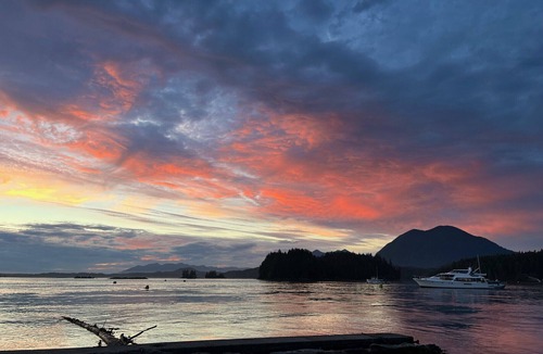 Tofino Boat Rental | Paradise On The Water Just 4 Minutes Across By Our Boat From Downtown Tofino!