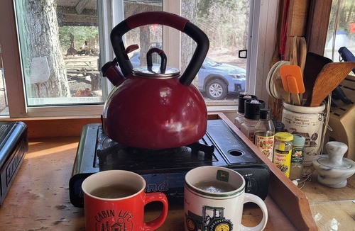 Baysville Cabin | Peaceful Cabin in the Woods walking distance to hike, swim, canoe & fish