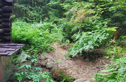 Baysville Cabin | Peaceful Cabin in the Woods walking distance to hike, swim, canoe & fish
