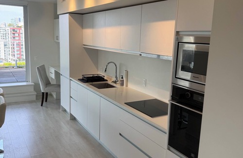 Mount Pleasant Condo | Penthouse Level stunning 3 BR, 2 full bathroom, huge terrace with panoramic view