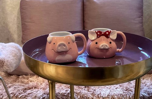 Markdale House | Pig-turesque Glamping Rental on an Animal Sanctuary for Ontario Getaway