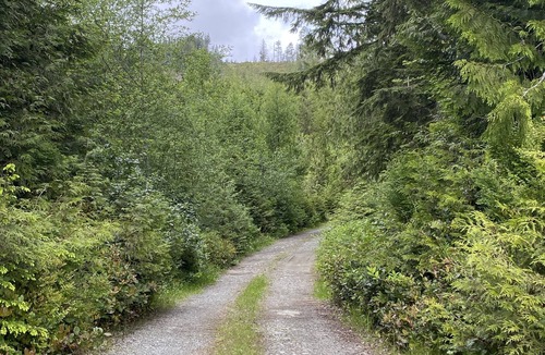 Juan de Fuca Electoral Area RV Rental | Private 80 acre off grid paradise pad and wilderness tent camping