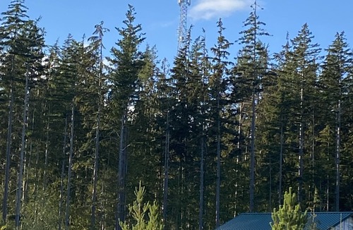 Juan de Fuca Electoral Area RV Rental | Private 80 acre off grid paradise pad and wilderness tent camping