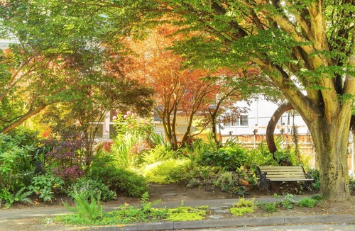 James Bay Apartment | PRIVATE cozy quaint space, 1 bedroom suite with a luxury king size bed 00036280
