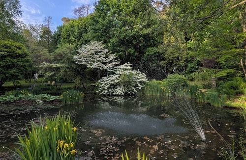 Simcoe House | Private, Peaceful Country Escape with pond, firepit, BBQ and outdoor space