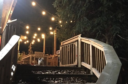 Lansdowne Cottage | Riviera - A gathering spot
