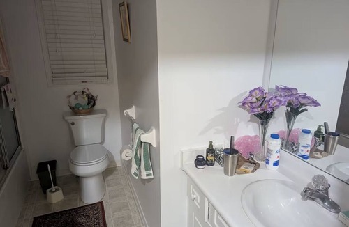 London House | Room available in the luxurious Masonville Mall area in London, Ontario.