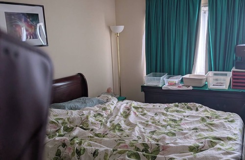 London House | Room available in the luxurious Masonville Mall area in London, Ontario.