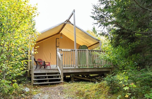 Saint Patrick RV Rental | Safari Glamping Tent! Forest Retreat & Hot Tubs!
