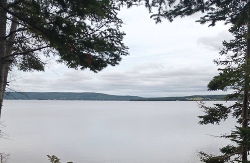 Evanston House | Secluded, well equipped 'offgrid' RV w/ outdoor space, trails. Pet friendly
