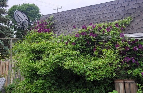 Chatham-Kent Cottage | Single level Cottage Style House near DownTown Chatham