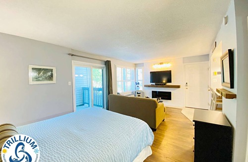 Craigleith Condo | Slopeside Condo - Wifi, Linens/Towels, Ski In/Out