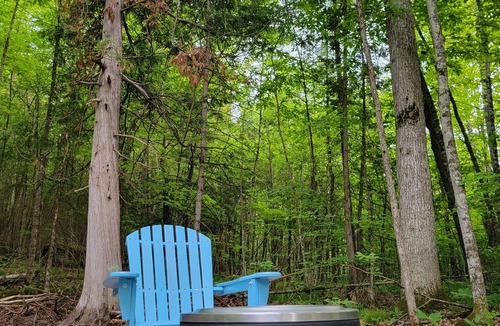 Campbellford Cabin | Stargazing Cabin with River Access