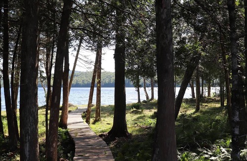 Clifton Royal House | The Boardwalk on Robin Hood Lake Off Grid Adventures