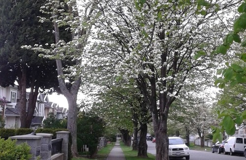Killarney House | Two-bedroom place, quiet street, near skytrain and groceries, Vancouver
