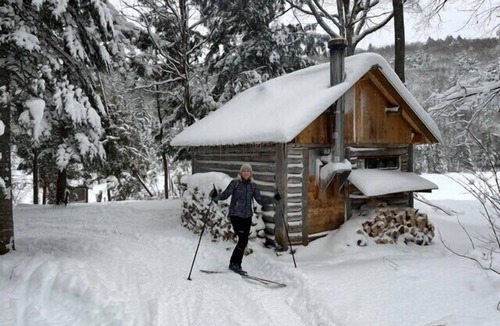 Saint-Faustin-Lac-Carre House | Unique treehouse in the forest, close to reception | Lodging #07