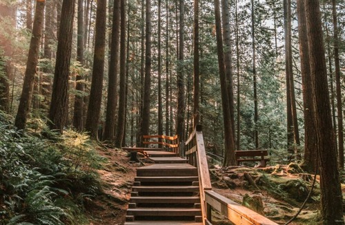 Central Lonsdale House | Urban /City Mountain Escape 🎿 🚵 - 2 Bedrooms (Your home away from home)