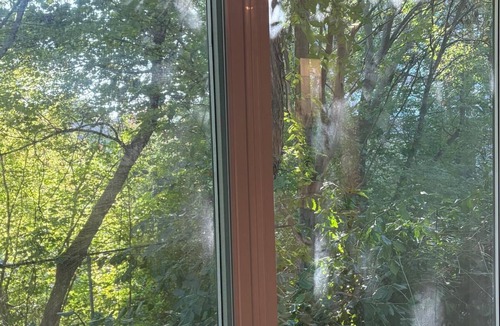 Blake - Jones Apartment | Welcoming Retreat for Guests, Students & Professionals – Where City Meets Nature
