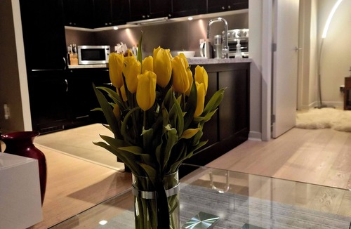 Yaletown Apartment | Yaletown 2BR/2BA luxury apartment in downtown Vancouver and next to Skytrain