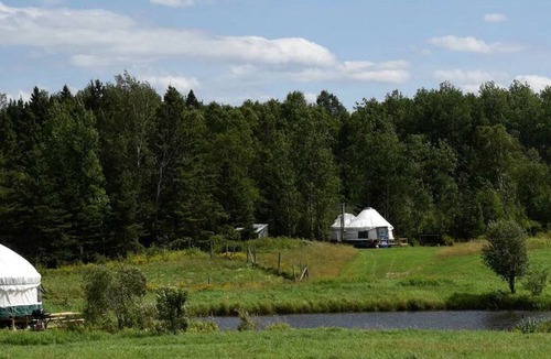 Powassan RV Rental | Yurt with Pond Access for Glamping Escapes in Ontario, Canada
