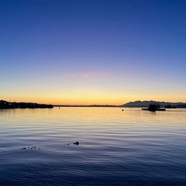 Right On The Water Just 4 Minutes Across By Our Boat From Downtown Tofino!