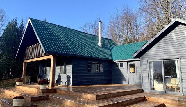 Algonquin Manitou Cottage & Lost Dog