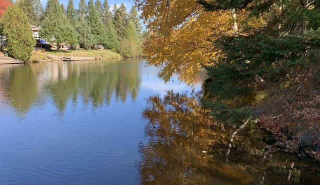 Amazing Cottage for Rent