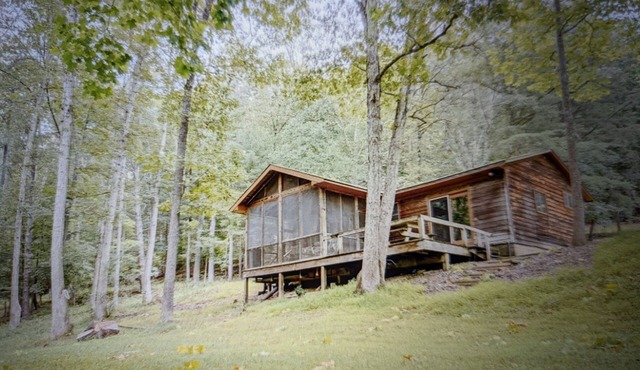 Backyard creek, screened porch in Needmore