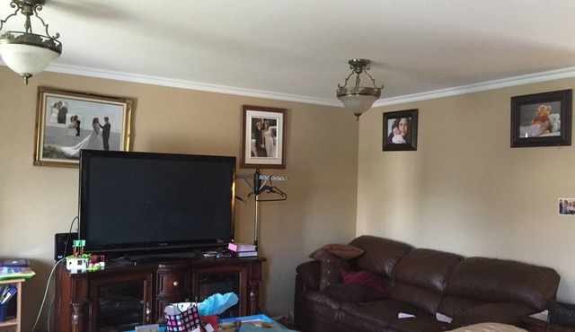 Basement or Cozy 1-3 rooms available
