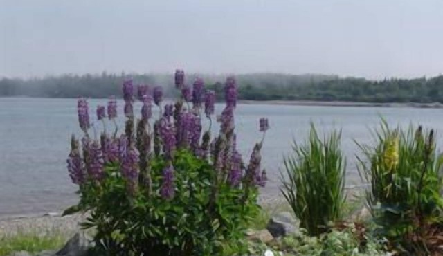 Beach House Little Dipper Harbour Oceanfront Retreat - new property mgmt in 2026