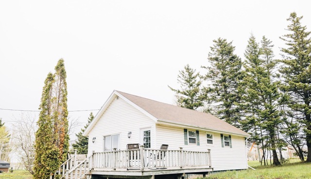 Beachside Bliss:Renovated Cottage near Amusement Parks | WiFi, BBQ, Patio
