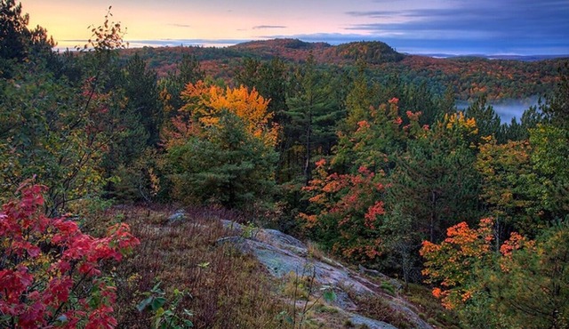 Beautiful Bay in the township of Parry Sound/Nobel