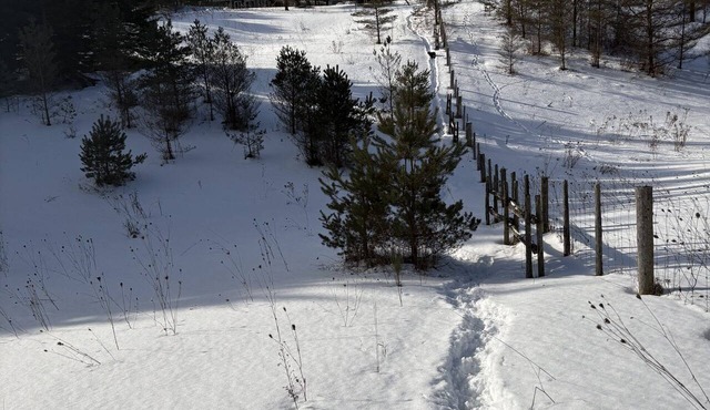 Beautiful chalet 11 minutes from BVSC, ski season (Dec-March, dates negotiable)