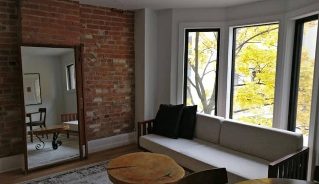 Beautiful Downtown Apartment