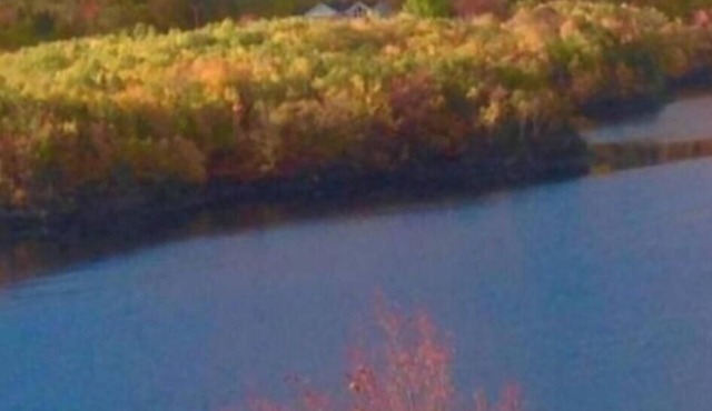 Beautiful little cabin located on the cabot trail over looking ski cape smokey