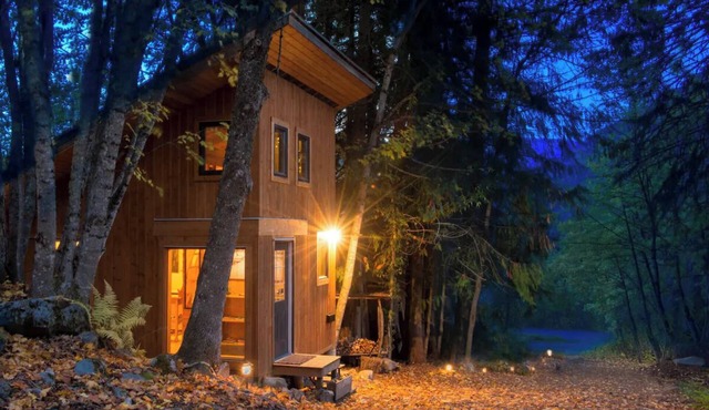 Bees Knees in the Trees Tiny Home - Hot Tub & Sauna