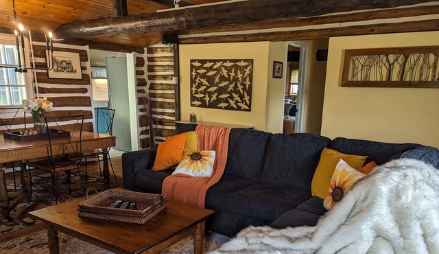 Bird Haven Log Cabin, Unique, charming and close to Lake Simcoe.
