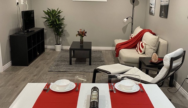 Brand new spacious apartment with private yard/patio