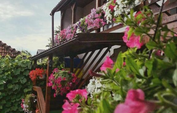 Casa Cristina in Beclean