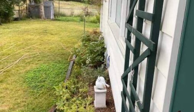 Charming 2 bedroom home.🏔