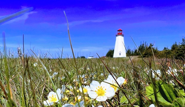 Charming 2-bedroom with Ocean View Cottage, situated near Thunder Cove Beach!
