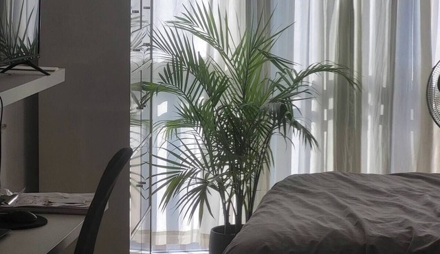 Chic, Turnkey Studio in the Heart of the Toronto Junction! (6-Month Min.)