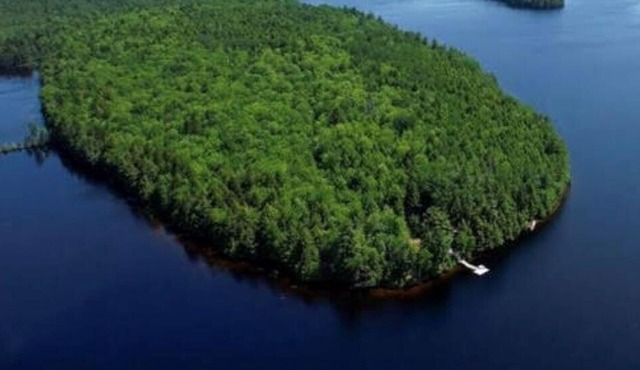 Come play in the water at this secluded get away. Observe nature at its best.