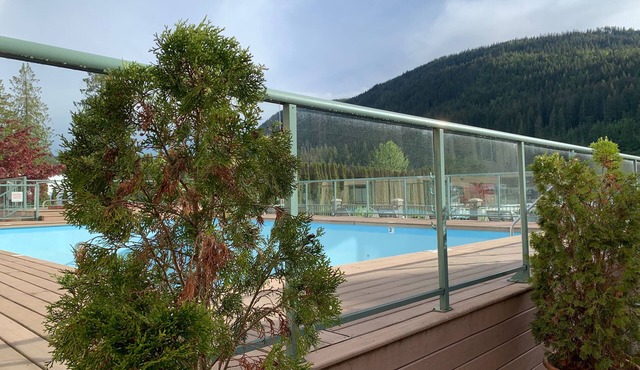 Condo Downtown Sicamous sledding paradise